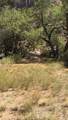 1219 Canyon Springs Rd - Photo 10