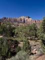1219 Canyon Springs Rd - Photo 7