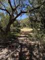 1219 Canyon Springs Rd - Photo 8
