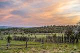 409 Mineral Springs Rd - Photo 49
