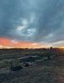 2642 3700 - Photo 32