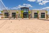 3534 Amanecer Ln - Photo 57