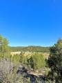 403 & 409 Mineral Springs Rd. - Photo 30