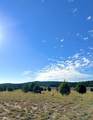 403 & 409 Mineral Springs Rd. - Photo 32