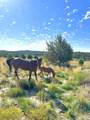 403 & 409 Mineral Springs Rd. - Photo 35