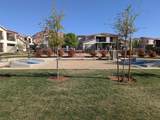 3780 Arcadia - Photo 62