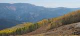 191 Gurr Well Rd - Photo 62