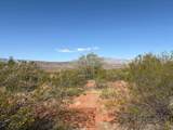 469 Bur Sage Trail - Photo 4