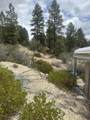 11685 Fir Rd - Photo 5