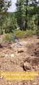 11685 Fir Rd - Photo 59