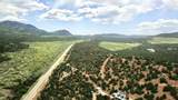 20 acres Off Highway 56 - Photo 11