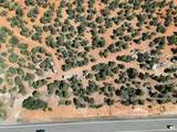 20 acres Off Highway 56 - Photo 13