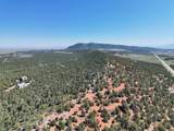 20 acres Off Highway 56 - Photo 14