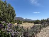 425 Mule Deer Rd - Photo 55