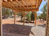 425 Mule Deer Rd - Photo 58