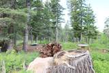 6240 Grizzly Ln - Photo 13