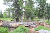 6240 Grizzly Ln - Photo 17