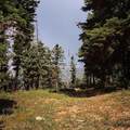 6240 Grizzly Ln - Photo 19