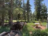 6240 Grizzly Ln - Photo 26