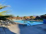 3025 Lavatera Dr - Photo 24