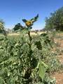 267 300 - Photo 26