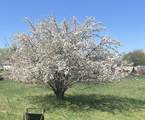 267 300 - Photo 28