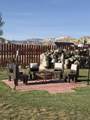 55 300 - Photo 29