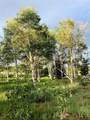 245 Whispering Pines Rd - Photo 1