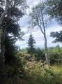 245 Whispering Pines Rd - Photo 2