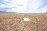  20.50 Acres On 800 W Road - Photo 44