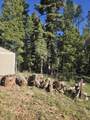 5825 Zion Vista Rd - Photo 14