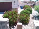 1799 Amethyst Garden Dr - Photo 3