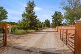 1470 Jade Dr - Photo 48