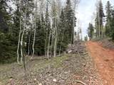646 Ski View Dr - Photo 27