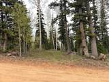 646 Ski View Dr - Photo 37