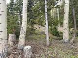 646 Ski View Dr - Photo 41