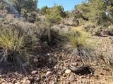 1037 Canyon Dr - Photo 23