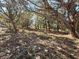 1037 Canyon Dr - Photo 30