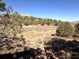 1037 Canyon Dr - Photo 32