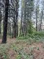 137 Kolob Pines Dr - Photo 11