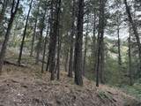 137 Kolob Pines Dr - Photo 4