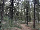 137 Kolob Pines Dr - Photo 8