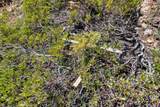 5150 North Fork Rd - Photo 35