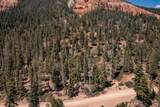 5150 North Fork Rd - Photo 97