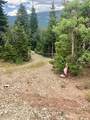 1 Acre Lot Kiwi Ln - Photo 3