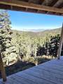  Braffits Creek Deep Canyon Rd - Photo 10