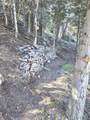  Braffits Creek Deep Canyon Rd - Photo 12