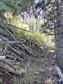  Braffits Creek Deep Canyon Rd - Photo 14