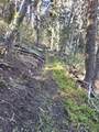  Braffits Creek Deep Canyon Rd - Photo 15