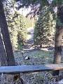  Braffits Creek Deep Canyon Rd - Photo 16
